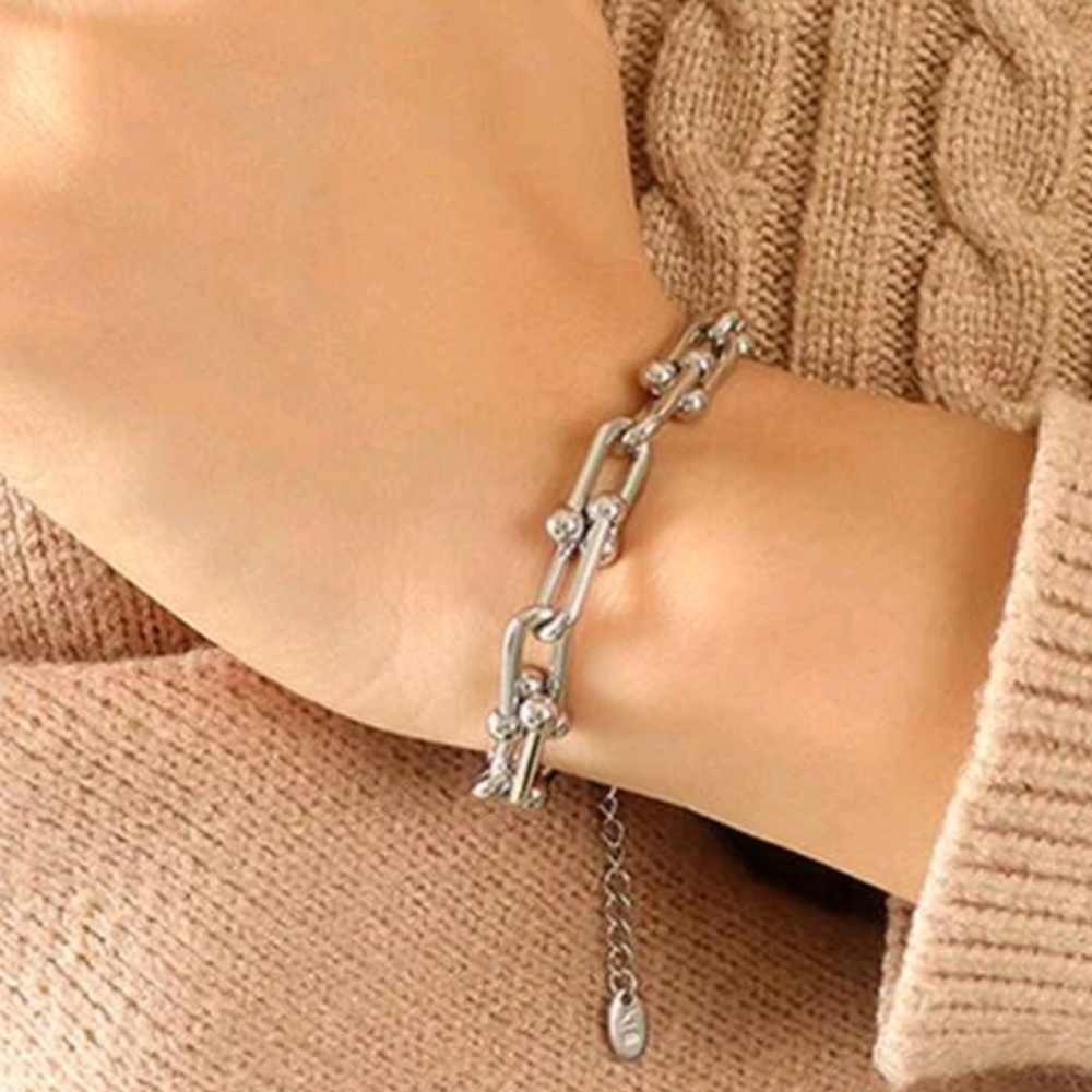 NEW Stainless Steel Horseshoe Link Bracelet